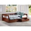 Twin To King Melody Day Bed With Storage - Bolton Furniture -Child Furniture Store GUEST 19a73cba 9a8c 4877 9ef9 a588b1fe9160