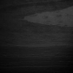 Induzy Solid Wood Bunk Beds Matte Black - South Shore 18 Induzy Solid Wood Bunk Beds Matte Black - South Shore -Child Furniture Store GUEST 434e89c4 0424 4882 803c 016cb10613e9