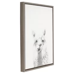 24" X 18" Alpaca Framed Canvas Art - Uniek