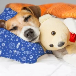 KeaBabies Toddler Pillow With Pillowcase, 13X18 Soft Organic Cotton Toddler Pillows For Sleeping, Kids Travel Pillow Age 2-5 -Child Furniture Store GUEST 63ec1dd8 b8f4 4d96 a112 6ca0c496def0