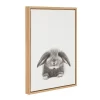 24" X 18" Rabbit Framed Canvas Art - Uniek