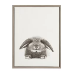 24" X 18" Rabbit Framed Canvas Art - Uniek -Child Furniture Store GUEST bb38d7de 7144 440b aff3 bd2a5477e6cc